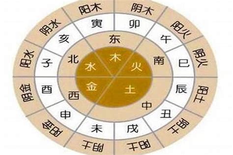 八字 分數|八字五行算命和人生起伏圖